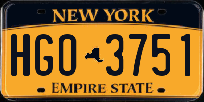 NY license plate HGO3751