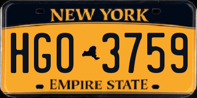 NY license plate HGO3759