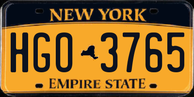 NY license plate HGO3765