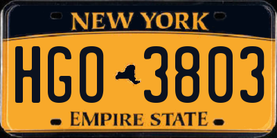 NY license plate HGO3803