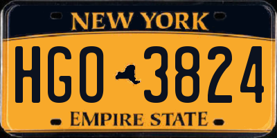 NY license plate HGO3824