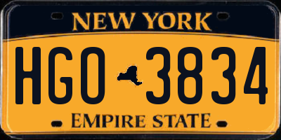 NY license plate HGO3834