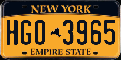 NY license plate HGO3965