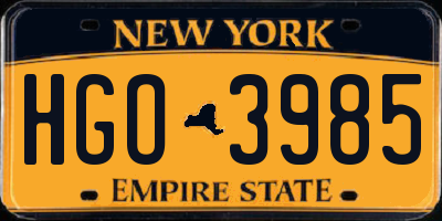 NY license plate HGO3985