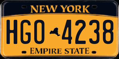 NY license plate HGO4238