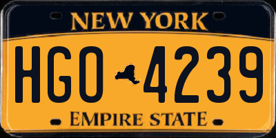 NY license plate HGO4239