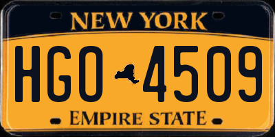 NY license plate HGO4509