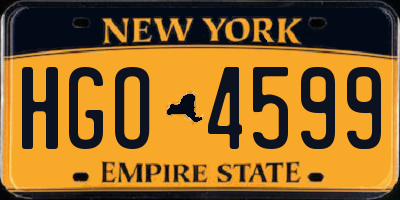 NY license plate HGO4599
