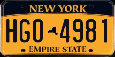 NY license plate HGO4981