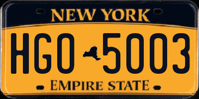 NY license plate HGO5003