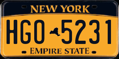NY license plate HGO5231