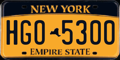 NY license plate HGO5300
