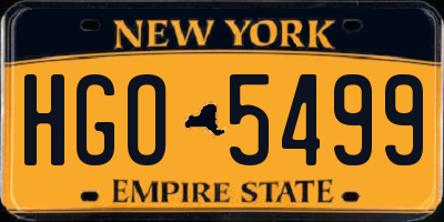 NY license plate HGO5499