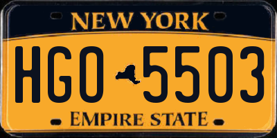 NY license plate HGO5503