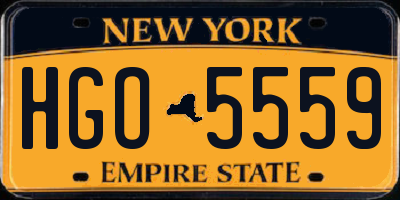 NY license plate HGO5559