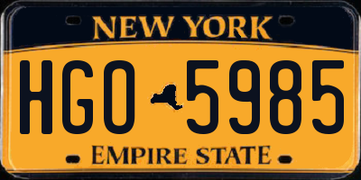 NY license plate HGO5985