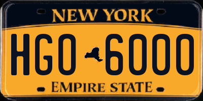 NY license plate HGO6000