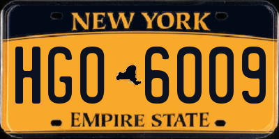 NY license plate HGO6009