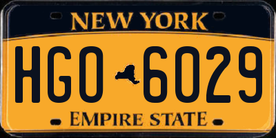 NY license plate HGO6029