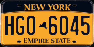NY license plate HGO6045