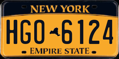 NY license plate HGO6124