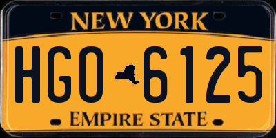 NY license plate HGO6125