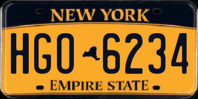 NY license plate HGO6234