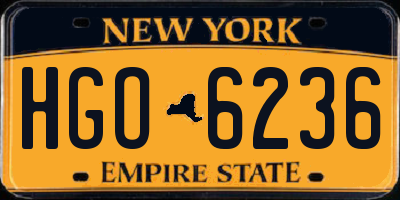 NY license plate HGO6236