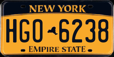 NY license plate HGO6238
