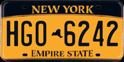 NY license plate HGO6242