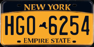 NY license plate HGO6254