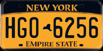 NY license plate HGO6256