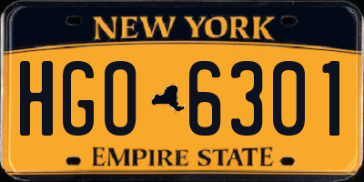 NY license plate HGO6301