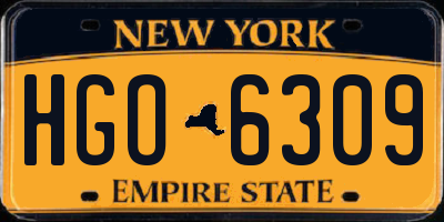 NY license plate HGO6309