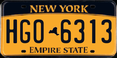 NY license plate HGO6313