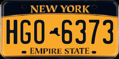 NY license plate HGO6373