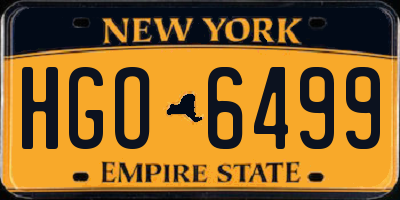 NY license plate HGO6499