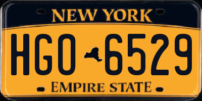 NY license plate HGO6529