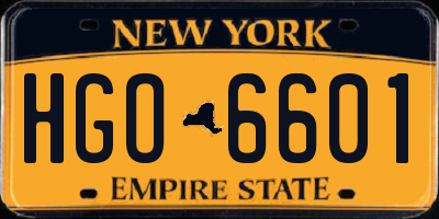 NY license plate HGO6601