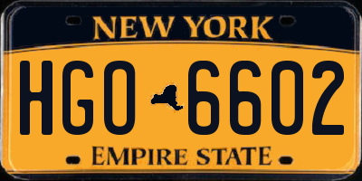 NY license plate HGO6602