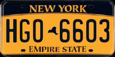 NY license plate HGO6603