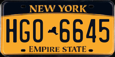 NY license plate HGO6645