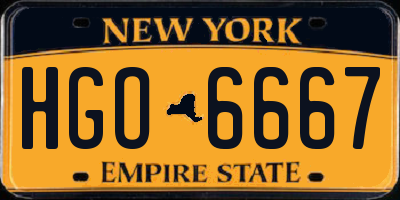 NY license plate HGO6667