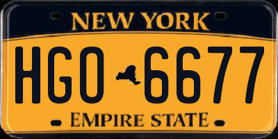 NY license plate HGO6677