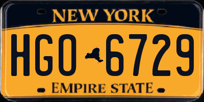 NY license plate HGO6729