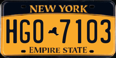 NY license plate HGO7103