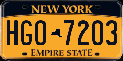 NY license plate HGO7203