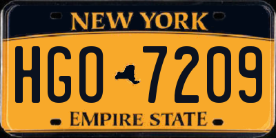 NY license plate HGO7209