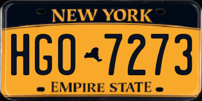 NY license plate HGO7273