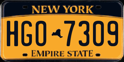 NY license plate HGO7309